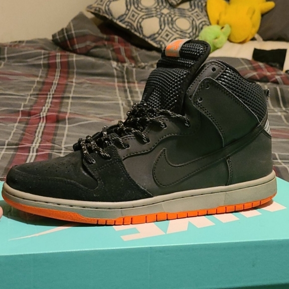 Nike Dunk High PRM Shield - Picture 6 of 6